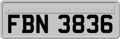 FBN3836