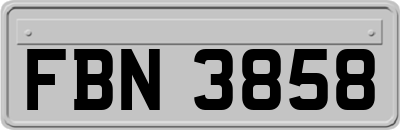 FBN3858