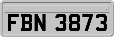 FBN3873