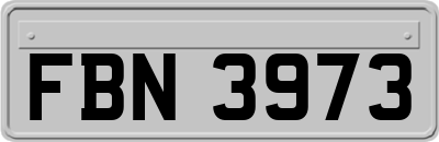 FBN3973