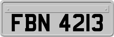 FBN4213