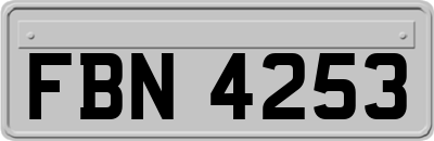 FBN4253