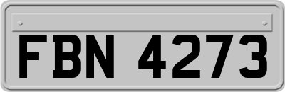 FBN4273
