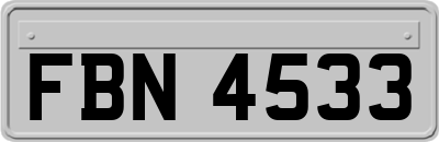 FBN4533