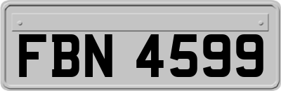 FBN4599