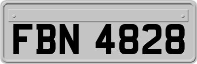 FBN4828