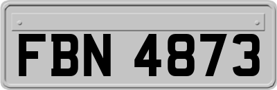 FBN4873
