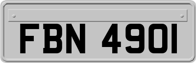 FBN4901
