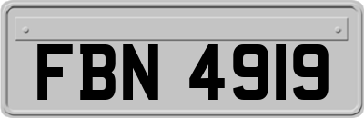 FBN4919