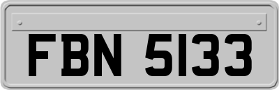 FBN5133