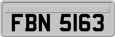 FBN5163