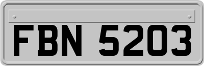 FBN5203