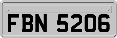 FBN5206