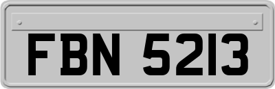FBN5213