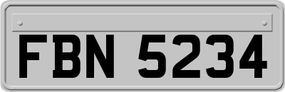 FBN5234