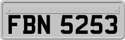 FBN5253