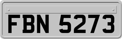 FBN5273