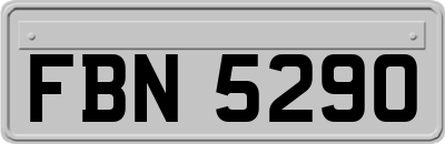 FBN5290