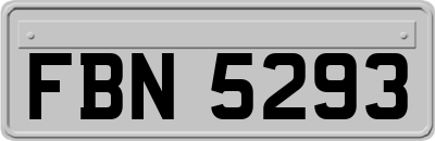 FBN5293