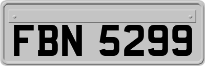 FBN5299
