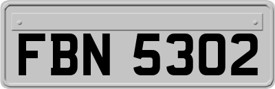 FBN5302