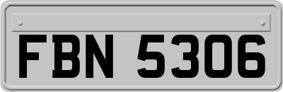 FBN5306