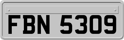 FBN5309