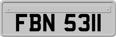 FBN5311