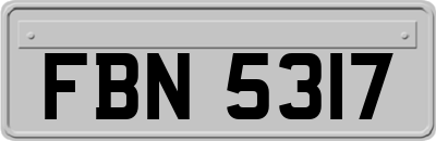 FBN5317