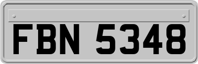 FBN5348