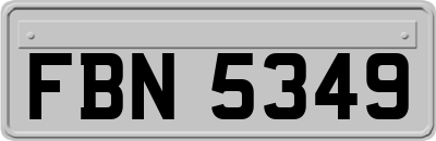 FBN5349