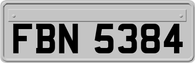 FBN5384