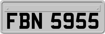 FBN5955