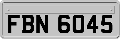 FBN6045