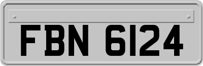 FBN6124