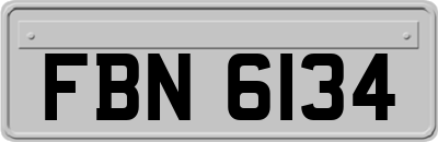 FBN6134
