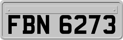 FBN6273