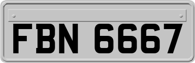 FBN6667