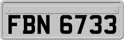 FBN6733