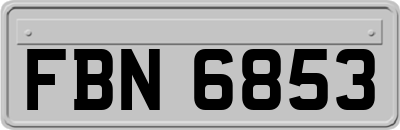 FBN6853