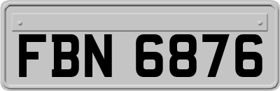 FBN6876
