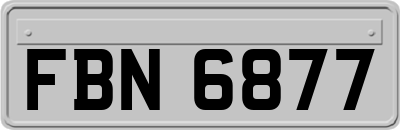 FBN6877