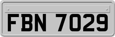 FBN7029