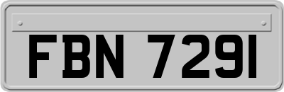 FBN7291