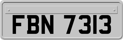 FBN7313