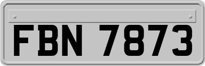 FBN7873
