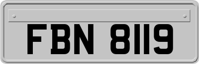 FBN8119