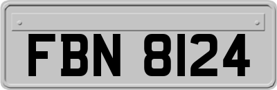 FBN8124