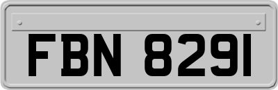 FBN8291