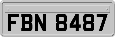 FBN8487